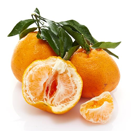 正宗四川春见耙耙柑甜粑粑柑10斤当季新鲜水果整箱芭芭丑柑桔年货