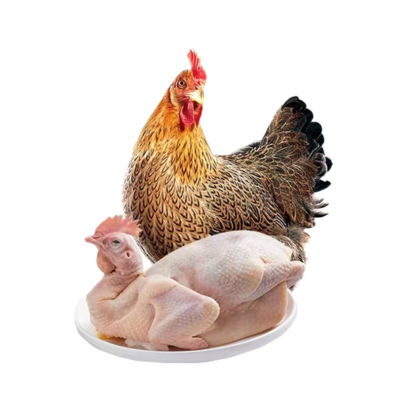 新鲜农家土鸡三黄鸡冷冻现杀童子鸡笨鸡整只包邮白条鸡生鸡肉草鸡