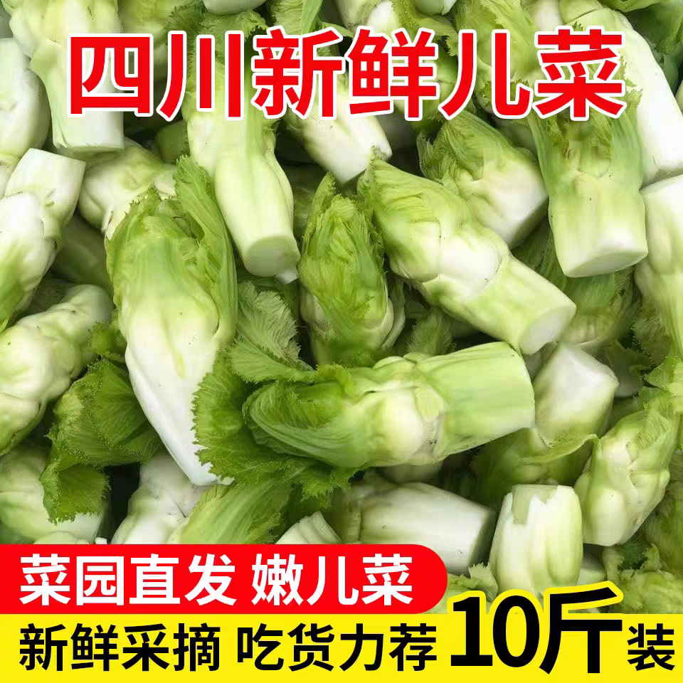 四川儿菜新鲜5斤娃娃菜抱儿母子耳菜农家自种咸菜原料蔬菜10包邮